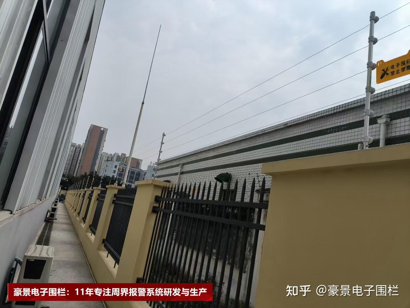 奖项证书
